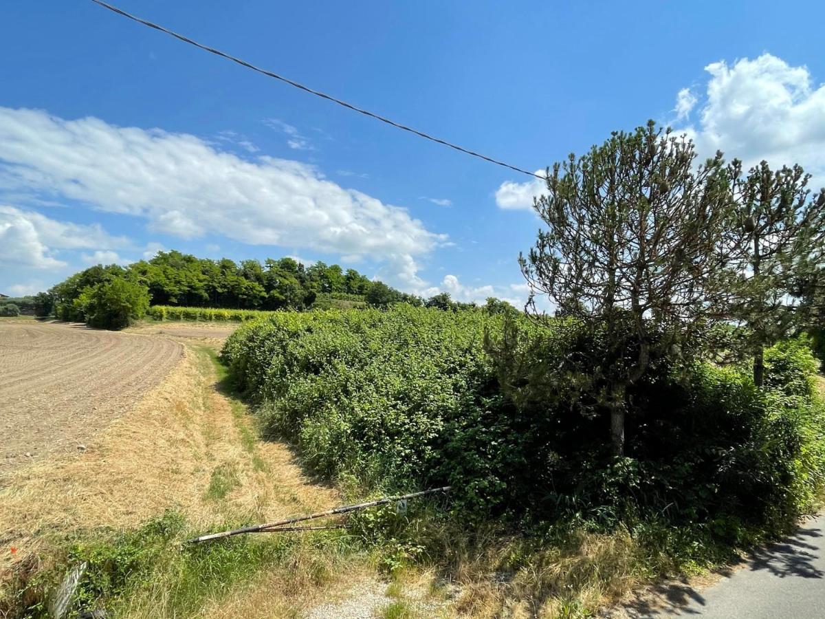 Casa Loredana - Graziosa Casa Vacanze Sul Lago Di Garda Lägenhet Cavalcaselle Exteriör bild